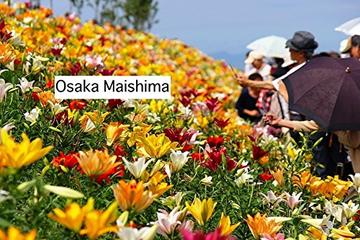 Osaka Maishima